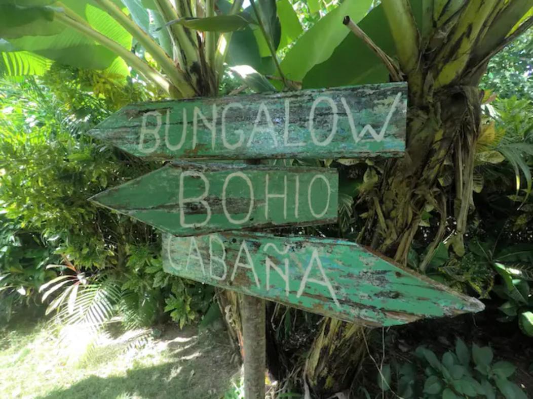 Hotel Dream Glamping Jungle Bohio Las Terrenas Exterior foto