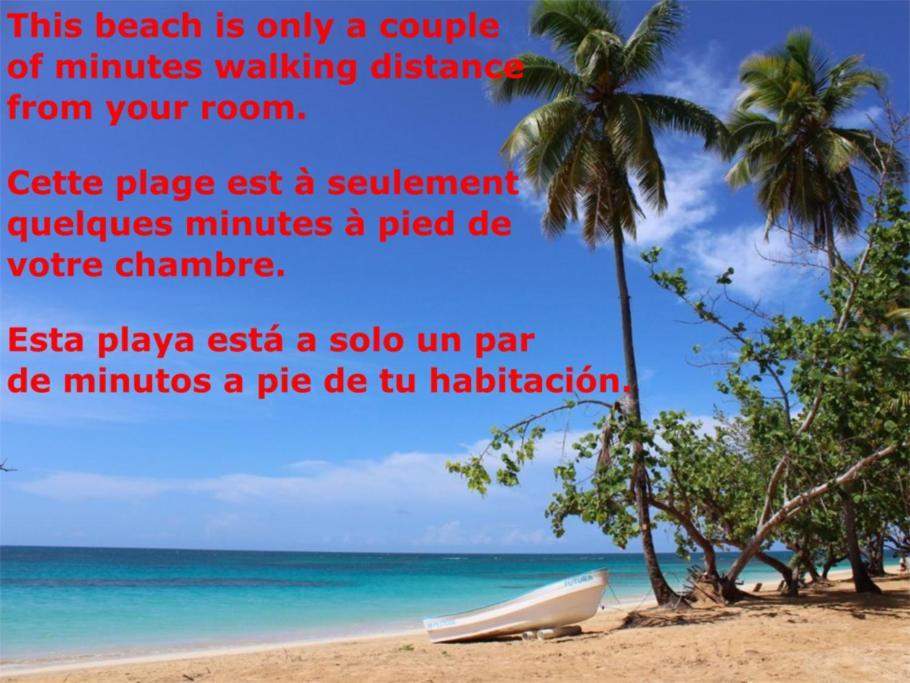 Hotel Dream Glamping Jungle Bohio Las Terrenas Exterior foto