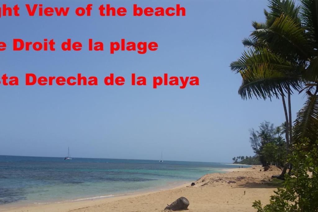 Hotel Dream Glamping Jungle Bohio Las Terrenas Exterior foto