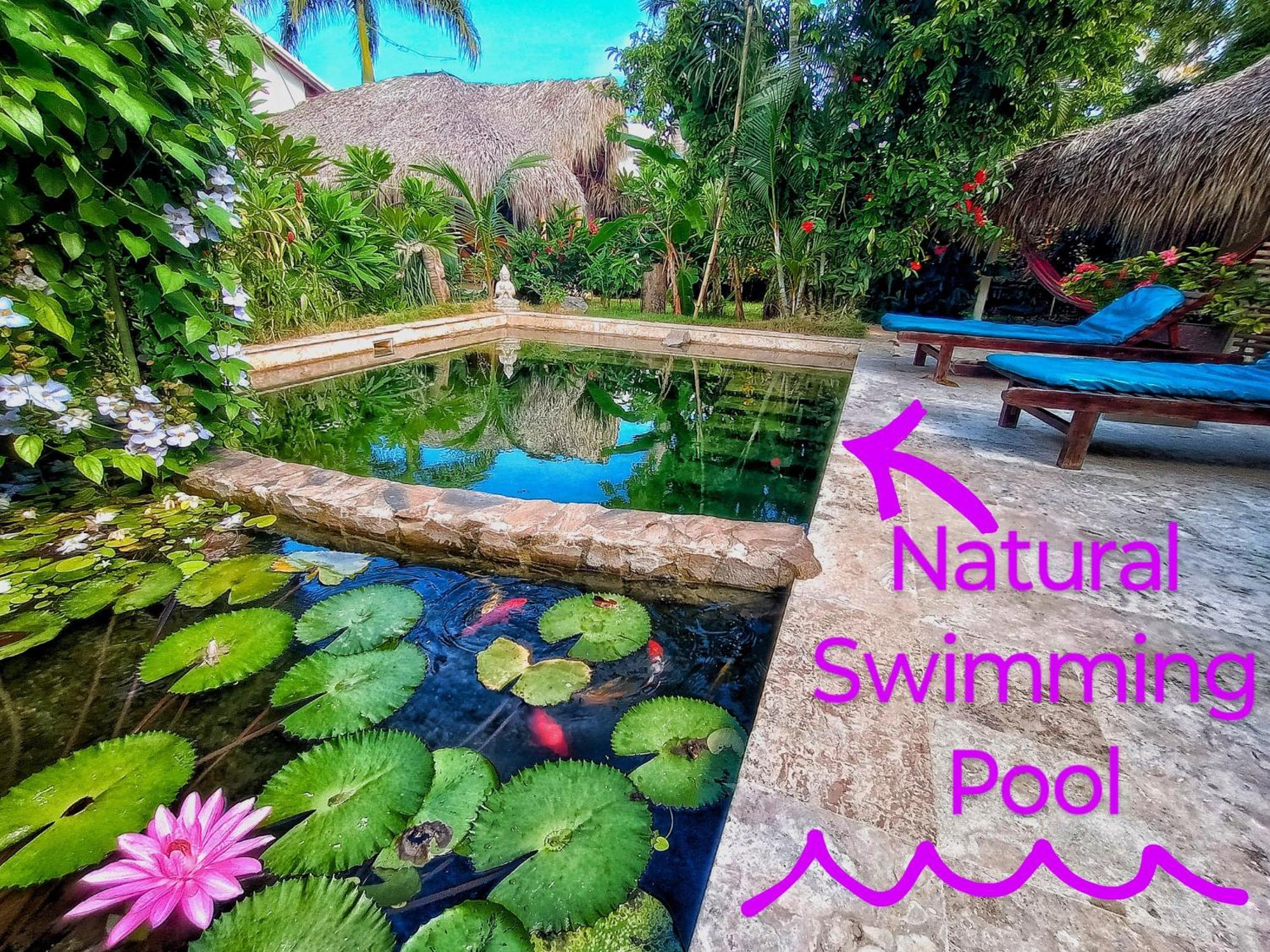 Hotel Dream Glamping Jungle Bohio Las Terrenas Exterior foto