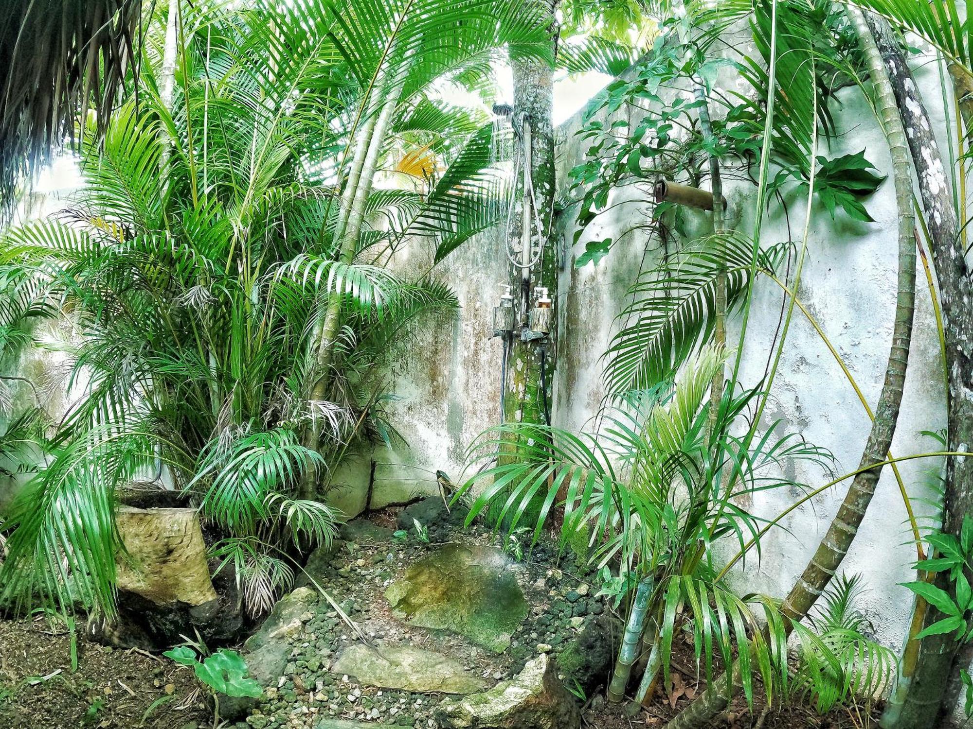 Hotel Dream Glamping Jungle Bohio Las Terrenas Exterior foto